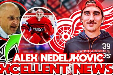 🛑[GREAT NEWS!!] DETROIT RED WINGS NEWS TODAY/ NHL (Alex Nedeljkovic)