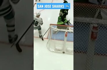 Tomas Hertl | San Jose Sharks #nhl #short #shorts #sharks #sanjosesharks #hertl #tomas #goal #hockey