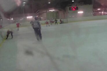 Ilves Atlanta - Tappara Citius 25.1.2012 5-16