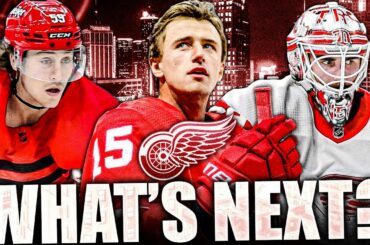 DETROIT RED WINGS NEWS: WHAT'S NEXT FOR TYLER BERTUZZI, JAKUB VRANA, ALEX NEDELJKOVIC? NHL Updates