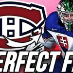 ADAM GAJAN THE PERFECT FIT FOR THE HABS - MONTREAL CANADIENS NEWS TODAY