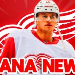 💥[NEWS UPDATE TODAY!!] JUST CAME OUT TODAY/ DETROIT RED WINGS NEWS TODAY (NHL)