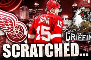 JAKUB VRANA: IT GOT WORSE? SCRATCHED W/ GRAND RAPIDS GRIFFINS (Detroit Red Wings News & Rumours) AHL