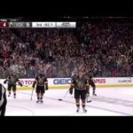 Tomas Nosek Goal vs WSH 05-28-2018