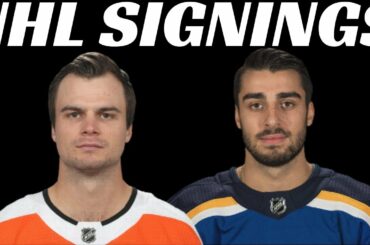 NHL Signings - Laughton, Fabbri, McMichael + more