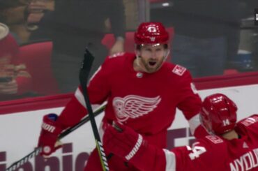 Darren Helm | Best of 17-18 | Detroit Red Wings