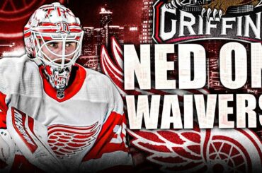 STEVE YZERMAN PLACES ALEX NEDELJKOVIC ON WAIVERS (Detroit Red Wings, Grand Rapids NHL News Today)