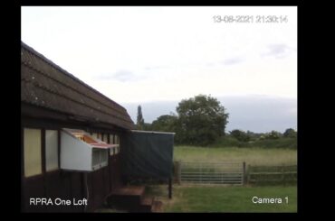 Jeremy Davies Live Stream