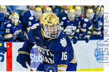 Toronto Maple Leafs sign Alex Steeves; Regular Season Schedule Changed