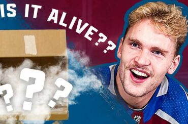 WHAT'S IN THE BOX??? | Avalanche Edition