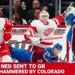 Nathan MacKinnon & Colorado Avalanche Hammer the Red Wings | Alex Nedeljkovic Assigned to Griffins