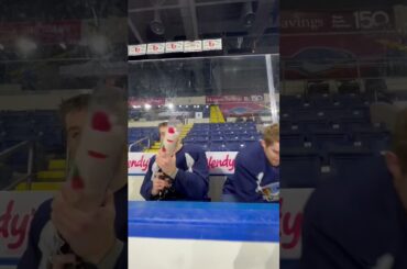 TEDDY BEAR TOSS IS SATURDAY 🧸