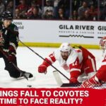 Arizona Coyotes Beat Detroit Red Wings, Snapping 9-Game Losing Streak | Is It Time to Face Reality?