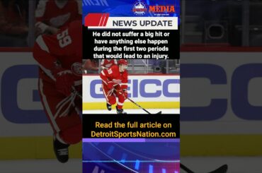 Detroit Red Wings Tyler Bertuzzi Injured… Again