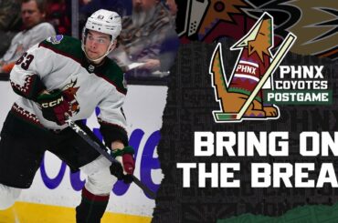 Trevor Zegras and Anaheim Ducks prevail over Connor Ingram and Arizona Coyotes in a heated matchup