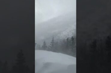 Huntington Ravine @ treeline 1100est 01312023