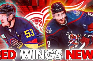 💥[THIS CAME OUT NOW] DETROIT RED WINGS NEWS TODAY (NHL) Nick Schmaltz & Bo Hovart