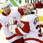 Wings Waive Nedeljkovic, Norris Nearing a Return for Sens, Injury News