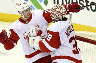 Wings Waive Nedeljkovic, Norris Nearing a Return for Sens, Injury News