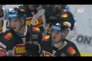 Rousek goal 12 30 20