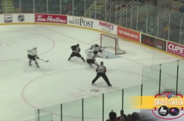 Saves of the Week / Arrêts de la semaine 22/10/19