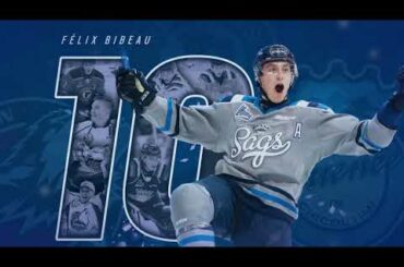 Montage 20 ans Félix Bibeau