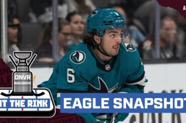 DNVR Avalanche At the Rink: a quick look at the Colorado Eagles