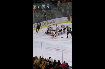 Michael Amadio SLICK Stickhandling To Score vs Ducks #shorts