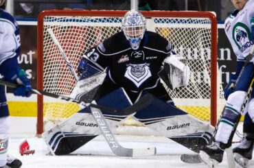 2019-20 HIGHLIGHT REEL | Brock Gould