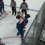Andreas Englund vs Nick Foligno Dec 3, 2022