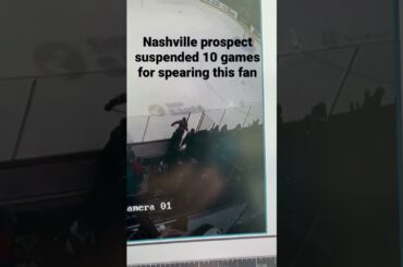 Zach L'Heureux in big trouble for spearing this fan