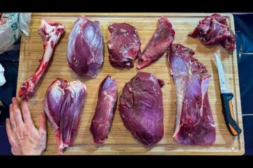 How to Butcher a Deer Hind Quarter * EVERY CUT EXPLAINED *