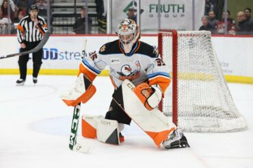 Recap: San Diego Gulls at Tucson Roadrunners, 3.4