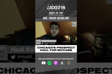 What are the Chicago Blackhawks getting in Joey Anderson & Pavel Gogolev? | NHL Trade Deadline