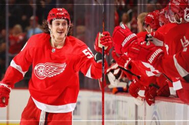 Bruins Acquire Bertuzzi from Detroit