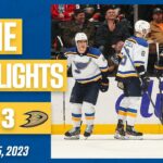 Game Highlights: Blues 6, Ducks 3