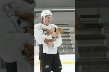 The Anaheim Ducks Have a Team Puppy!