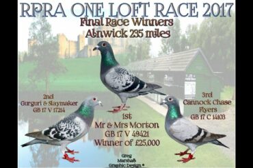 Jeremy Davies Live Stream