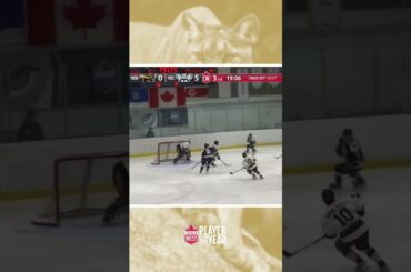 Men's Hockey Player of the Year - Riley Sawchuk