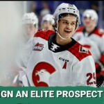 The Dallas Stars Just Finessed ANOTHER Top Prospect
