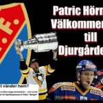 WELCOME HOME TO DJURGÅRDEN PATRIC HÖRNQVIST | HIGHLIGHTS |