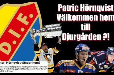 WELCOME HOME TO DJURGÅRDEN PATRIC HÖRNQVIST | HIGHLIGHTS |