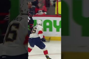 Hamonic saves the day