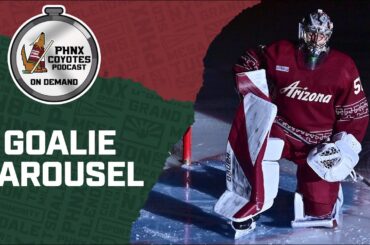 Why are the Arizona Coyotes rotating between Karel Vejmelka, Connor Ingram and Ivan Prosvetov?