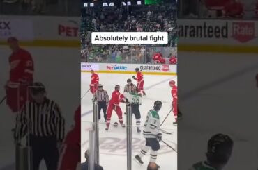 Hockey fights are just getting CRAZIER! (via @luke_hohlt) #nhl
