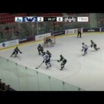 Joshua Roy's 4 Point Night (1G/3A  34 PTs/14 GMs) 4-4-23