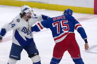 Ryan Reaves drops the gloves with Pat Maroon