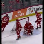 Danton Heinen Goal vs Detroit Red Wings - A: Sidney Crosby (Pittsburgh Penguins)