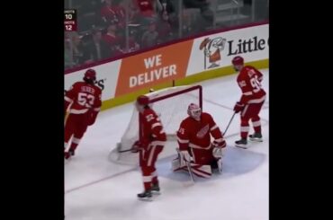 Danton Heinen Goal vs Detroit Red Wings - A: Sidney Crosby (Pittsburgh Penguins)