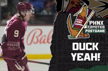 Barrett Hayton’s OT goal snaps Arizona Coyotes’ losing streak in thrilling win over Anaheim Ducks